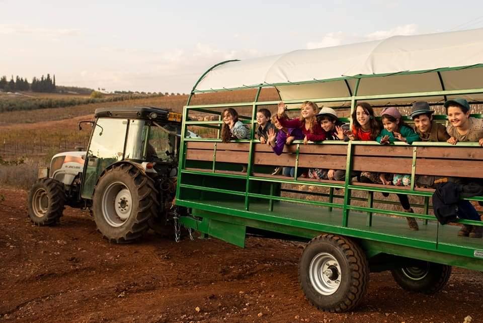 עגלות נוסעים בייצור יריב תעשיות